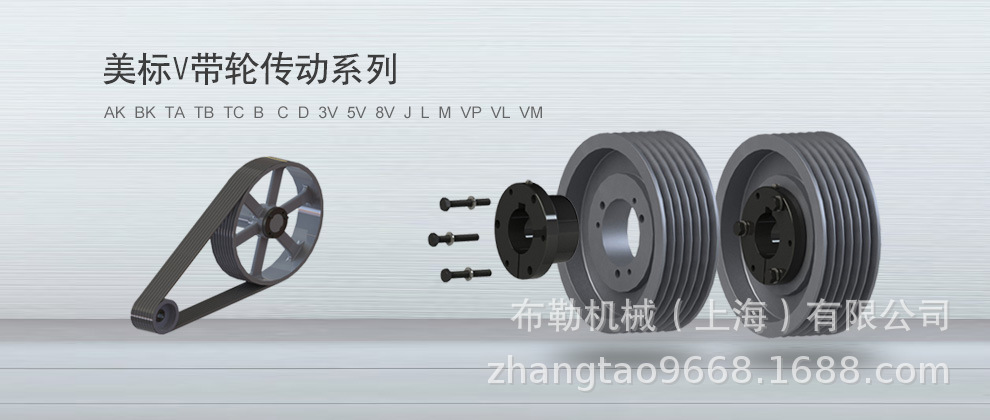 卖胀紧套美标欧标皮带轮SPB/SPC/SPZ锥套3020马达电机链轮胶垫Z3A