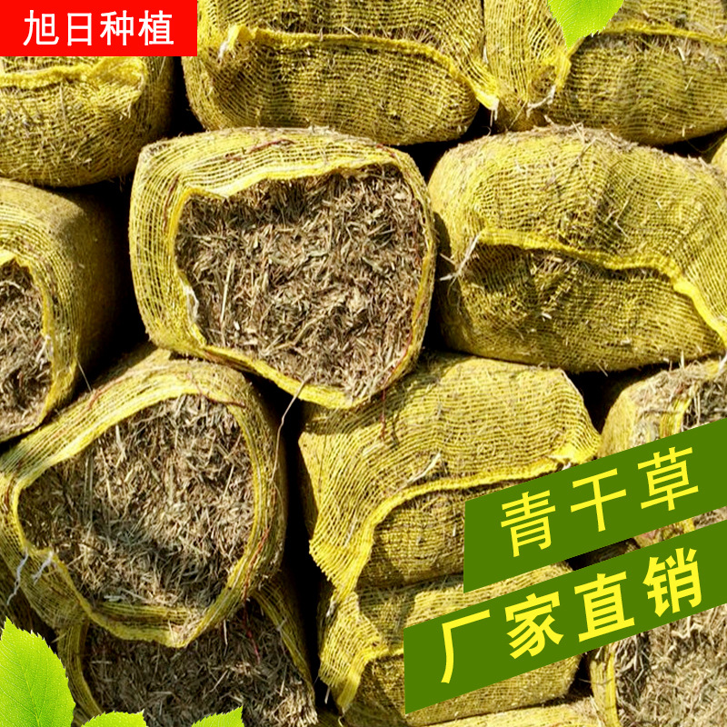 2019产青干草厂家 饲料牧草青草饲料揉丝网袋青干草块 马场牛场用