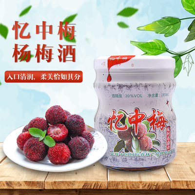 浙江仙居东魁杨梅制做185毫升杨梅酒低度发青梅梅子果露酒