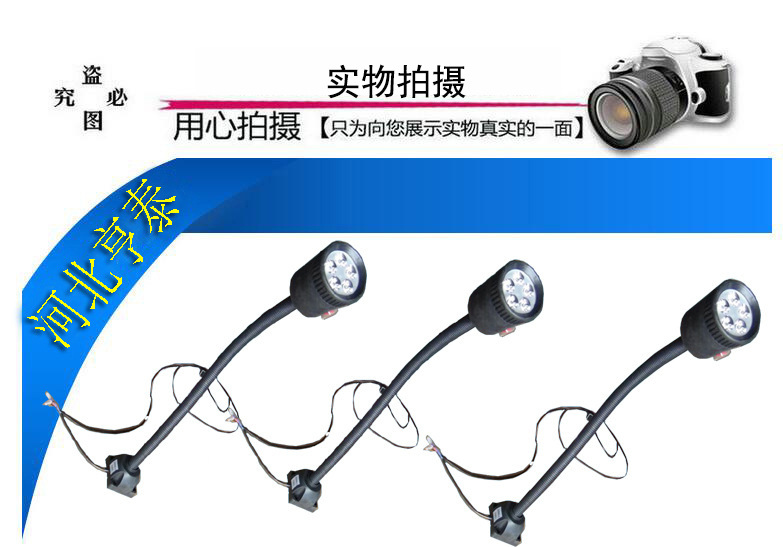 2662487865_431928070