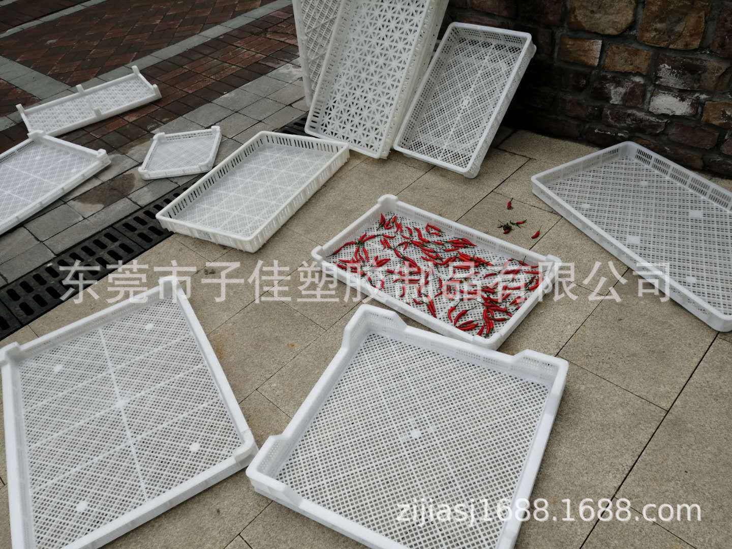 上海小号单冻器塑料烘盘浅盘 冷冻食品海鲜丸子盆