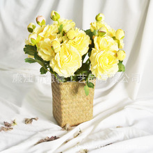 ���W�����ֹ�������ƿ�ҾӲ��û�Ͳ�r���ɻ��̻�ƿ�@ˇ�����b�