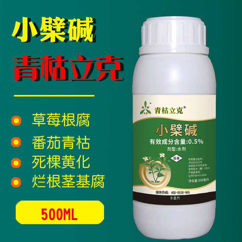 如何預防番茄青枯病?