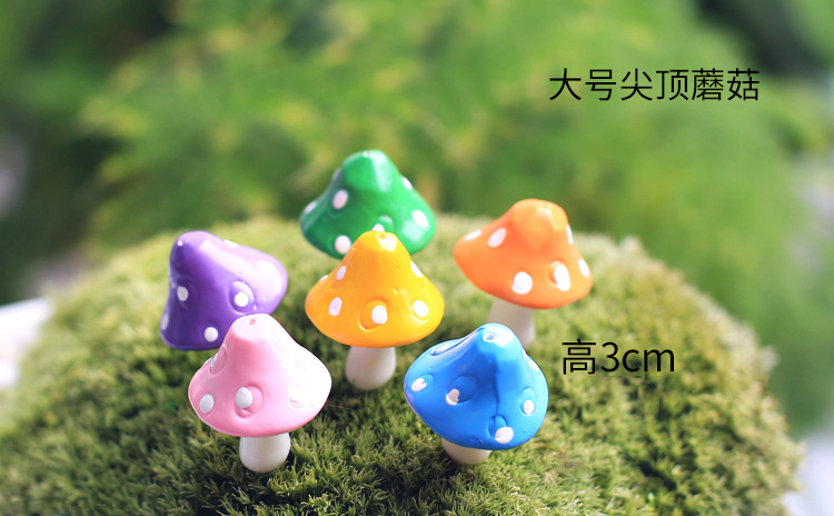 TB23hwIcFXXXXabXXXXXXXXXXXX_!!