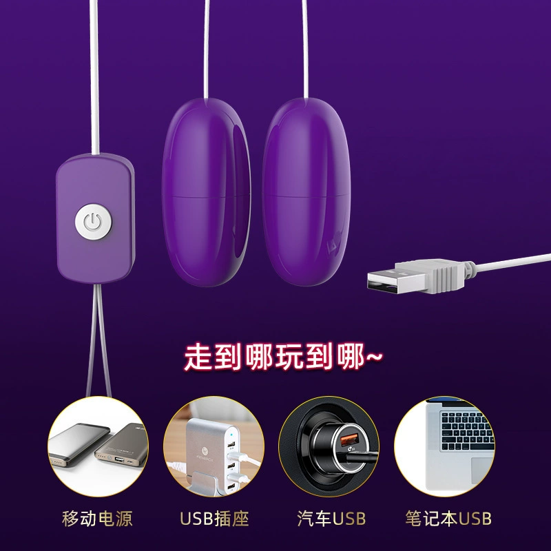 Laile 女性振动器 USB 跳蛋 成人产品 女性跳蛋 静音 强振动 USB 双跳蛋 制造商