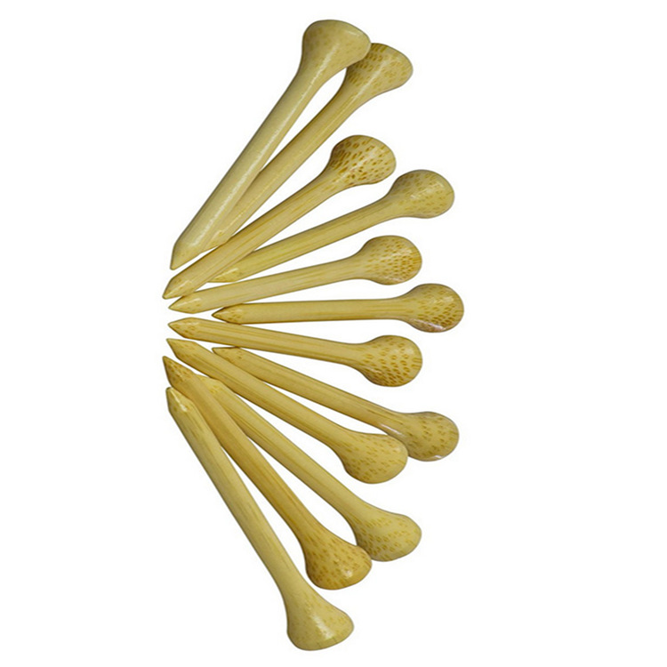 4311906716_887822980