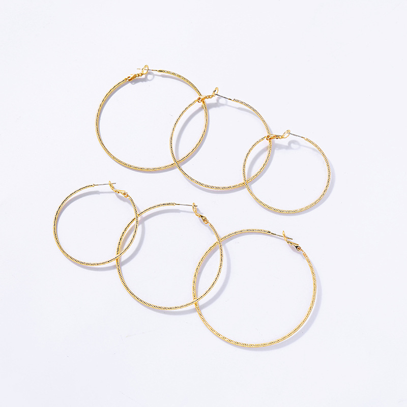 Fashion Geometric Net Red Earrings Winter New Ring Earrings Hoop Earrings display picture 11