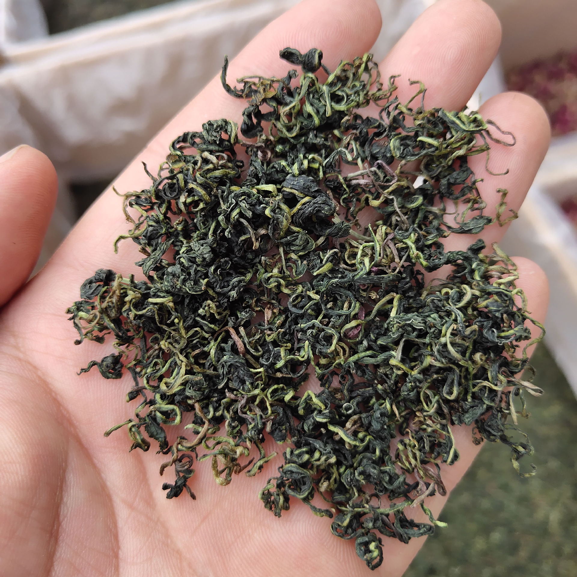 且将新火试新茶 | 蒲公英茶X久纪视觉|摄影|产品摄影|久纪视觉 - 原创作品 - 站酷 (ZCOOL)