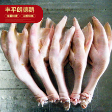 冷凍生鮮鵝掌批發廠家銷售鵝爪鵝肉食材速凍鵝掌商用生鵝腳