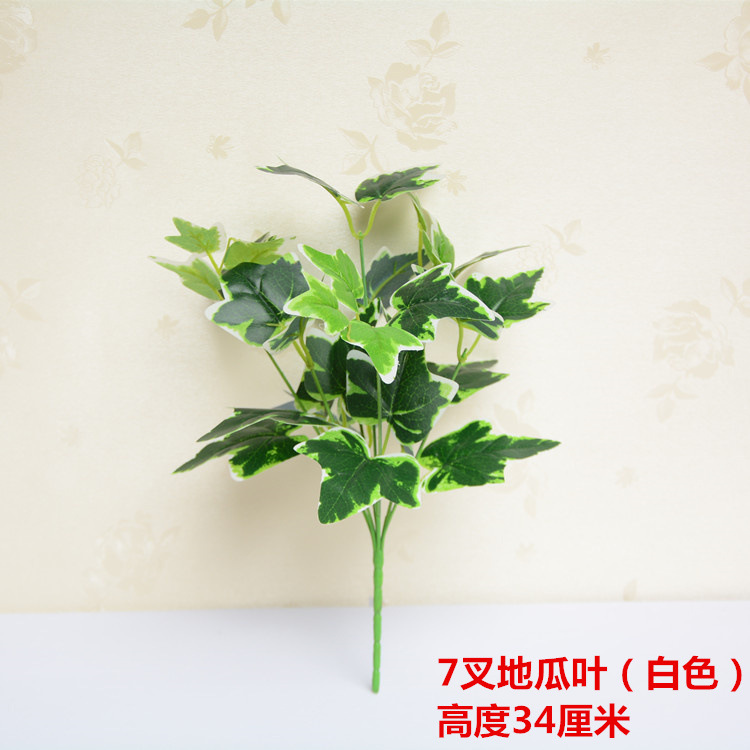 DSC_9008_副本_副本