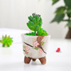 Horticultural Korean Multisani Mini Pot Zakka Ceramic Thumb Pot color hand -painted multi -meat basin