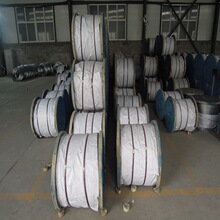 GJ-50电力通讯架空钢绞线 农业果园用钢绞线 容桂生产供应