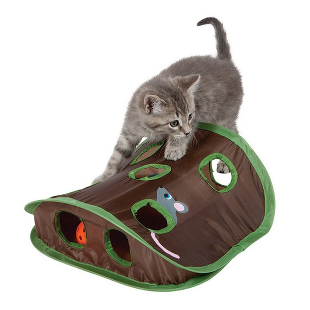 猫洞 (3)