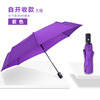 Automatic big umbrella, fully automatic, Birthday gift