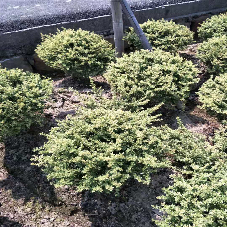 微信图片_20190924001040