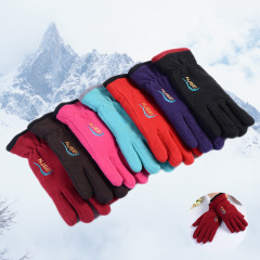 博航新款秋冬搖粒絨雙層加厚加絨手套 戶外保暖騎行開車手套批發