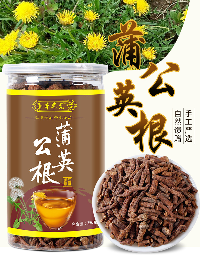 Dandelion Root Tea (Taraxacum officinale) — Dried Pú Gōng Yīng Root Slices, 350g Gift Jar overview