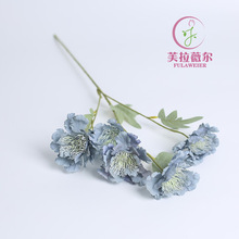 S6^СhѩL݆ս݆LջYٻ䲼ܛb廨