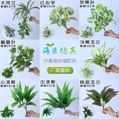 仿真植物墙配饰仿真绿植各种波斯植物墙配材背景墙仿真小绿植|ms
