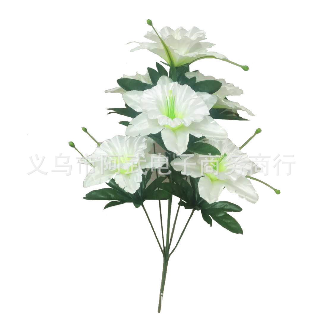 b6e9b1543bd860dd52f93146202f96