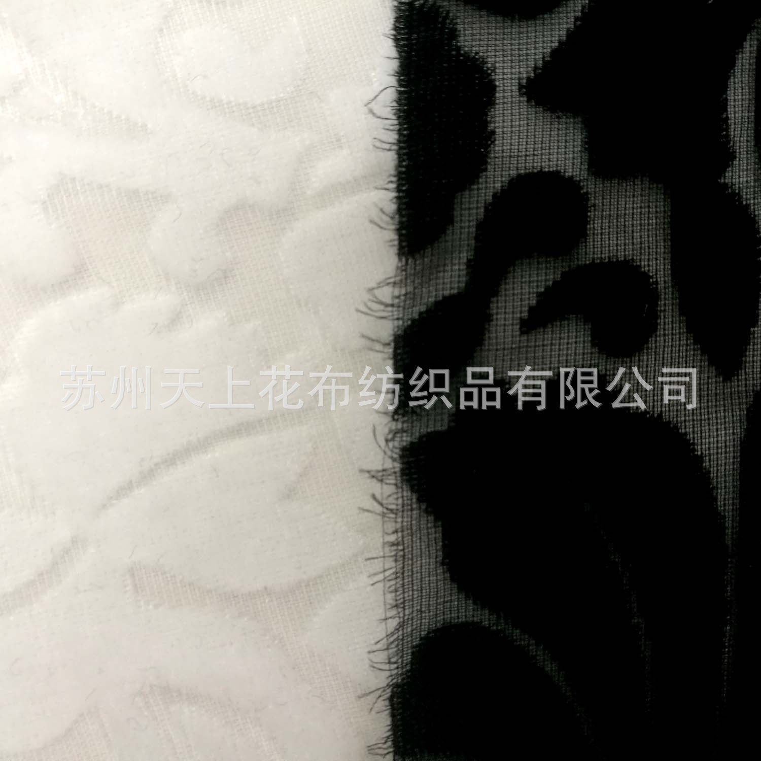 研发定制秋冬真丝绒布 丝绒时装面料乔其绒锦绒素色面料-阿里巴巴