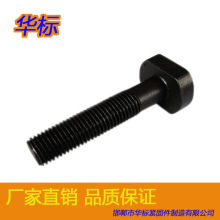 �S�����aT����˨T���ݽz �ߏ�T��˨ �����Ѓ��� �ɶ������NҎ��