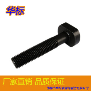 �S�����aT����˨T���ݽz �ߏ�T��˨ �����Ѓ��� �ɶ������NҎ��