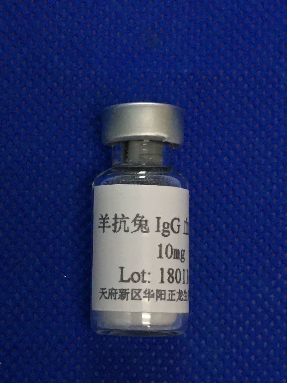 IgG-10MG