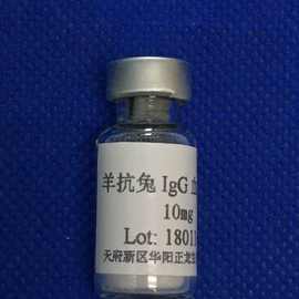 羊抗兔IgG抗体-10MG