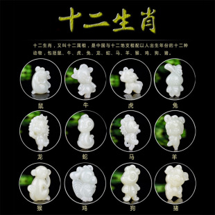 ��ͨ���������Ф��ţ����������u�������Ůʮ����Ф��