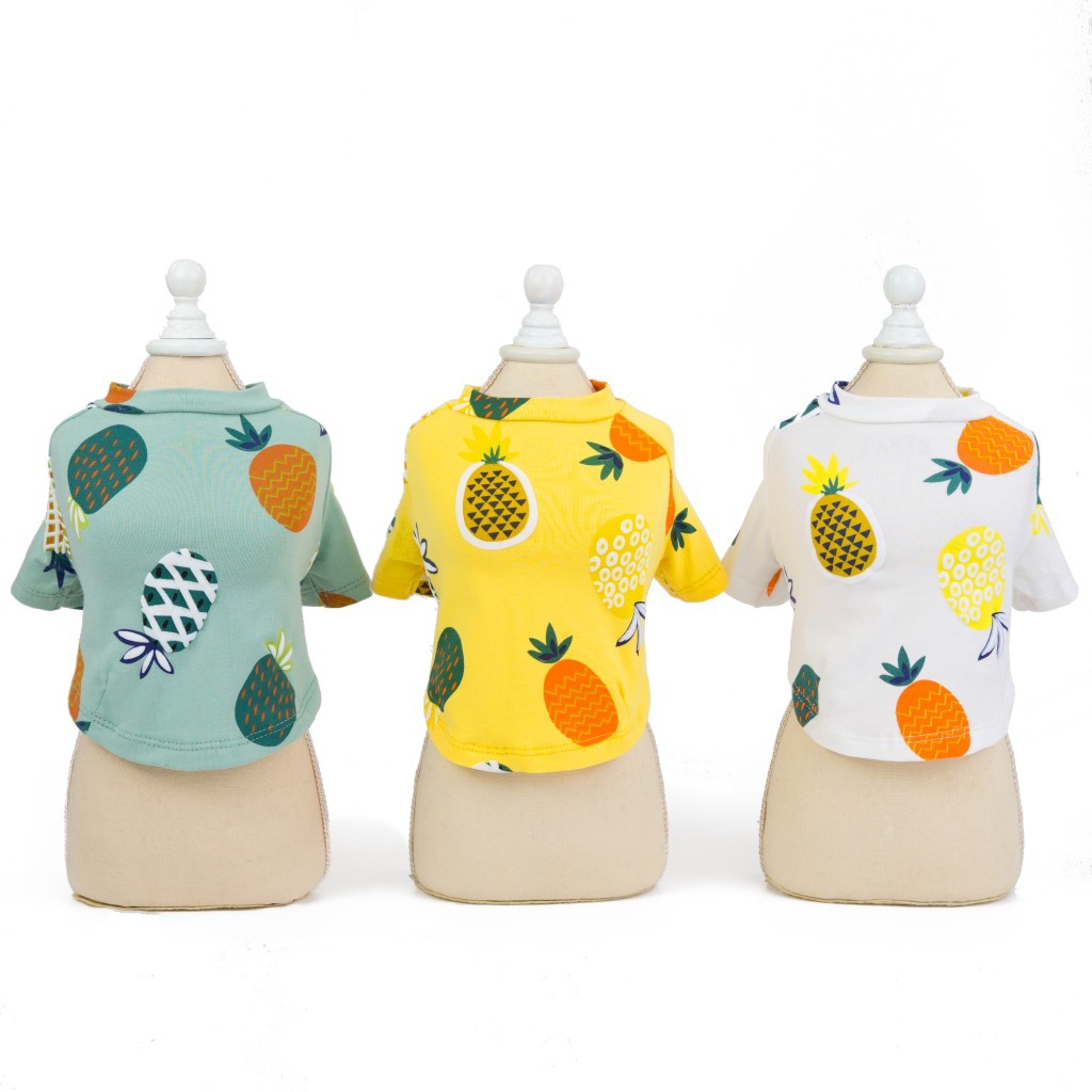 i2 XifKkz9SEOZkhuDrmzU7ITV6PujXMXOkt