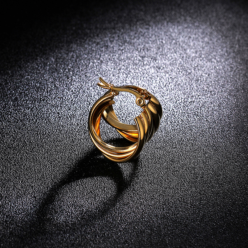 Titanium&Stainless Steel Fashion Geometric earring(Gold 2.0cm)Fine Jewelry NHIM1679-Gold-2.0cm