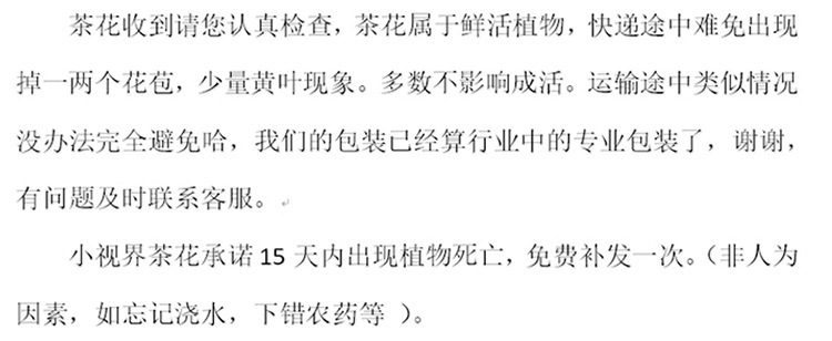 Zhenghuang Banner_09