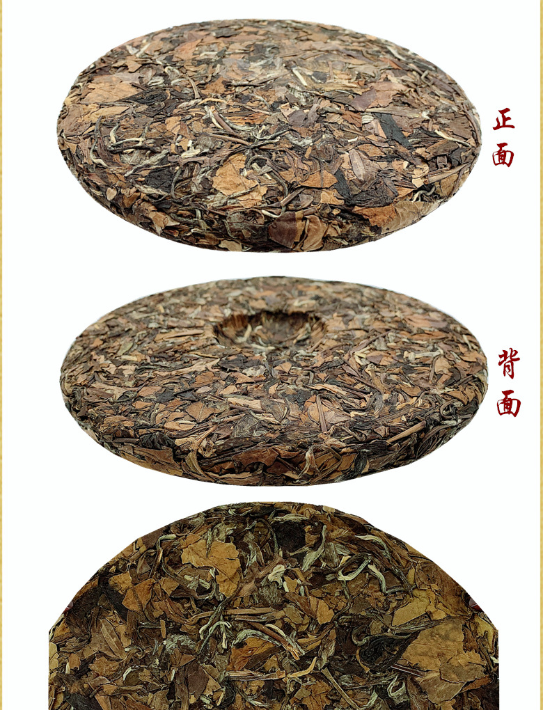 IMG_0958988965656_副本9996