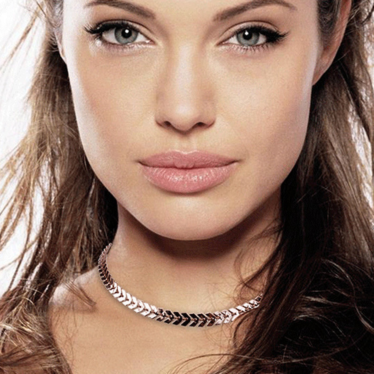 Europe and the United States cross-border temperament fashion V-shaped Fishbone chain New New sequins short necklace tattoo clavicle chain collar