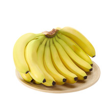 漳州天宝香蕉5斤 新鲜水果全年供应 banana黄香蕉芝麻香蕉代发
