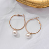 Fashionable long trend retro earrings from pearl, European style