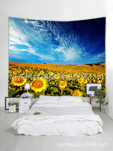 ���R�d���uͨ�羳��̿���{���µ����տ������b�̺