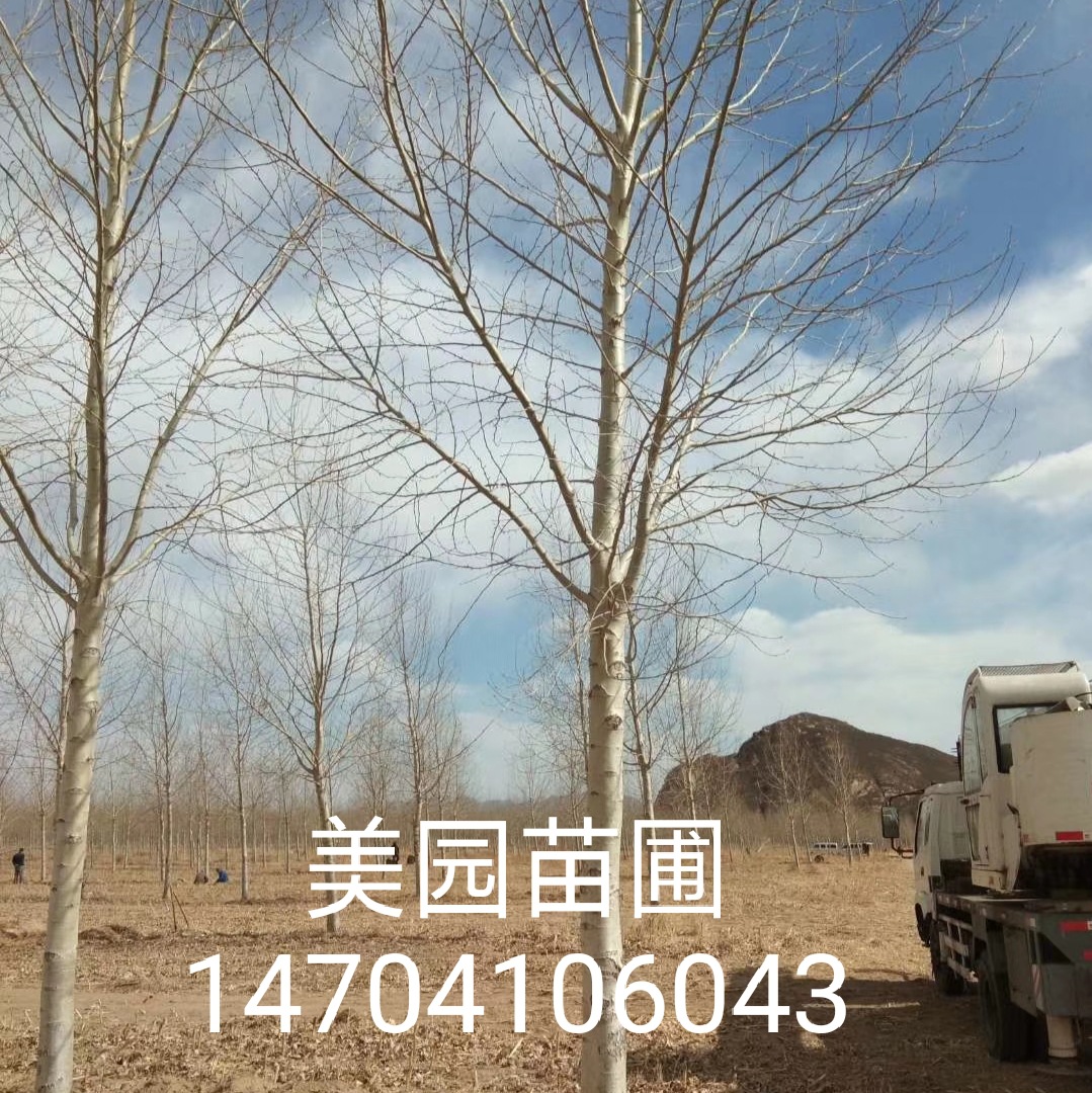 微信图片_20190314161703