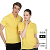 Colored polo, overall, T-shirt, custom made, wholesale