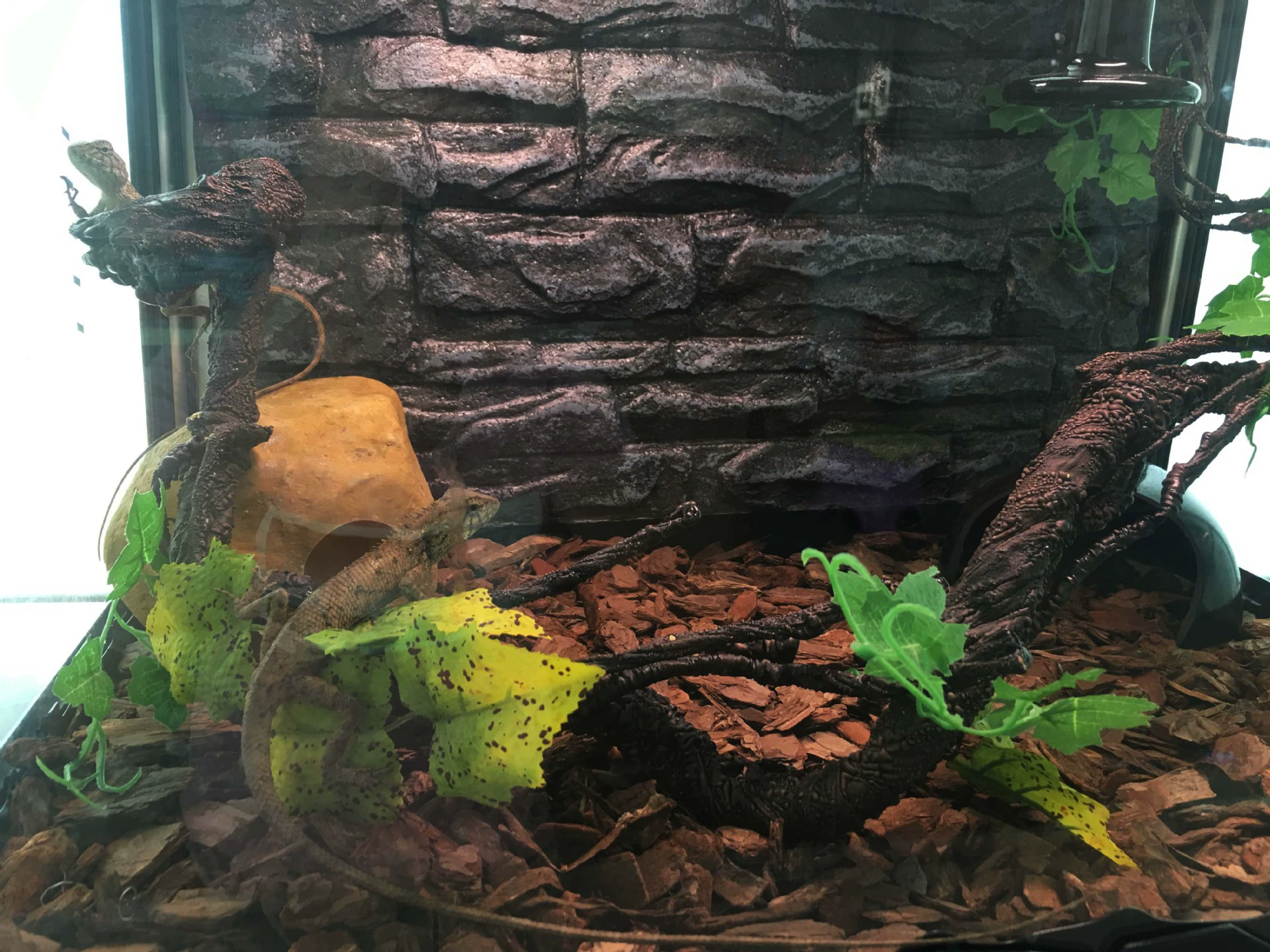 Ящерица поставки Ящерица игрушка рептилия дерево лоза ящерица скалолазание ротанг паук скалолазание домашнее животное искусственная ветка