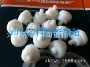 isc-10v1s-sv1vespelpompeek万向珠