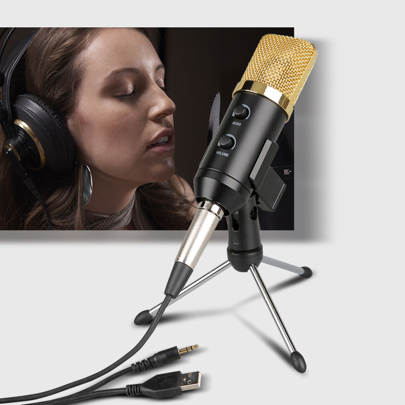 Microphone Image 2