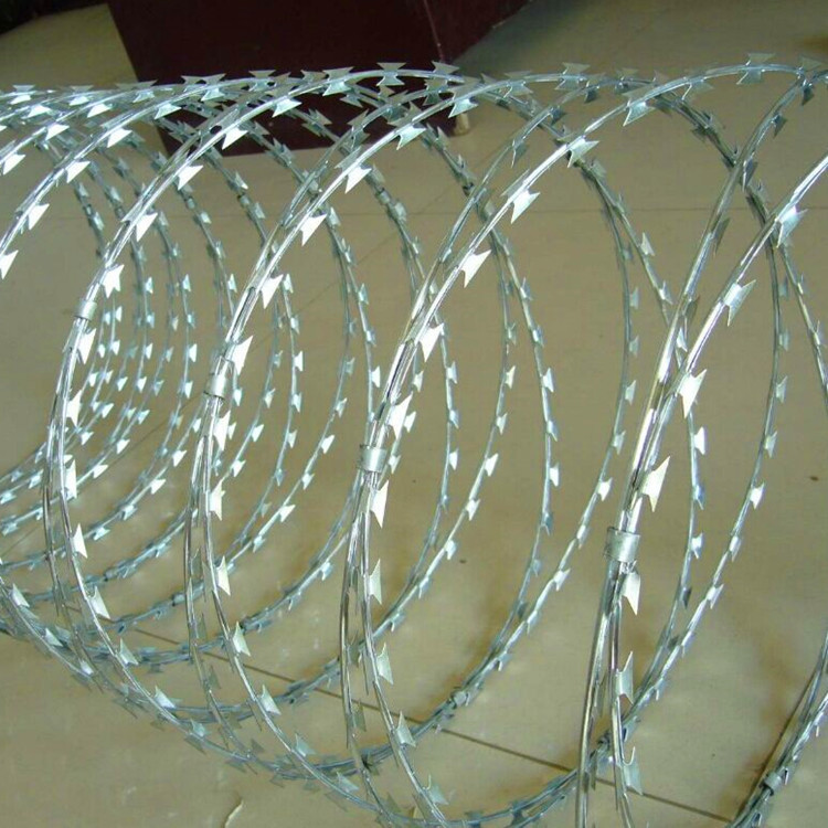 【浙江的虾兵蟹将行将上桌 东海今天“小开渔”千舟竞发！你最爱吃哪个？】