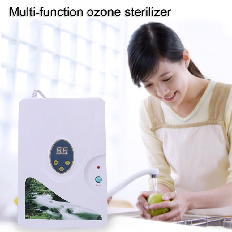 Cross border Fruits and vegetables Disinfection machine household multi-function Fruits and vegetables Oxygen Detoxication Vegetables machine ozone purifier OEM