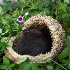 Knitted rabbit grass nest, scenic hamster cage, squirrel cage, guinea pig cage, chinchilla cage, degu cage, hedgehog slipper, hiding house