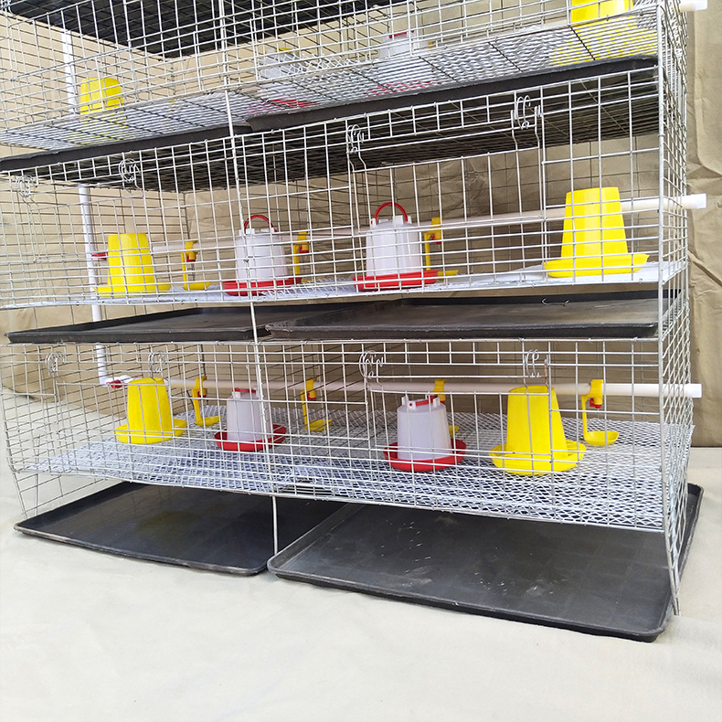 加粗加密热镀锌小鸡笼子育雏笼弹簧门养鸡鸭鹅兔笼子育雏专用蛋鸡