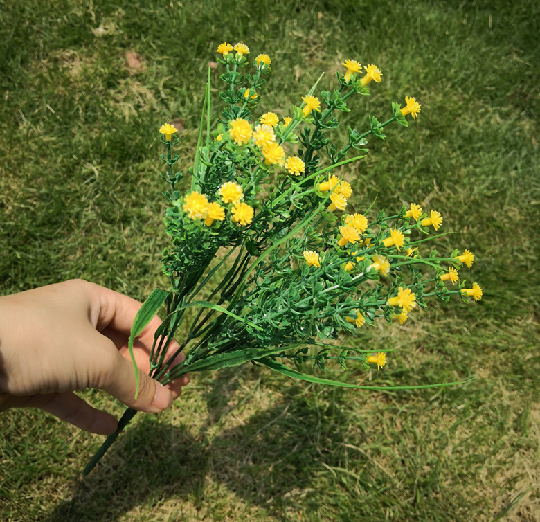 하늘 별 전체에 노란색 5 포크 수생 식물