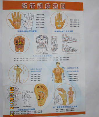 艾灸 人体经络穴位图 健康疗法图 针灸刮痧 保健拔罐 按摩图