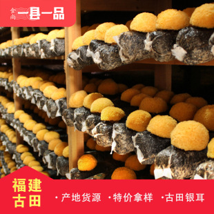 ��һ�hһƷ�����������y�����500��ܛŴ�����r���خa�o���